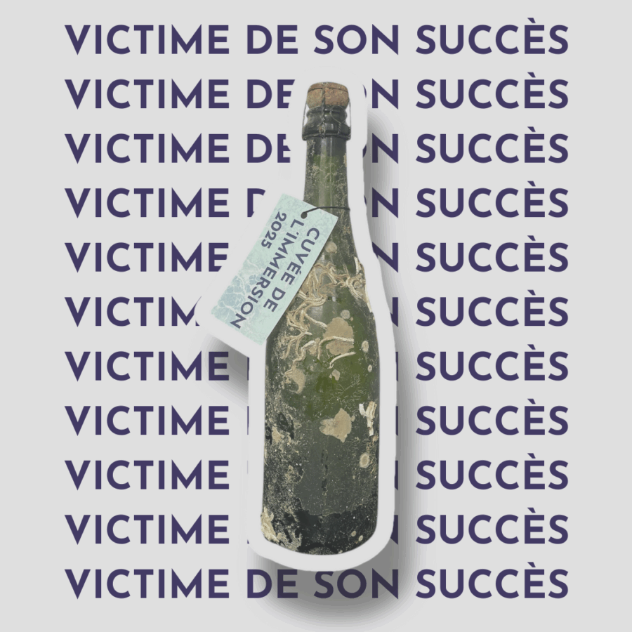 Cuvée de l'immersion 2025 - Vin blanc pétillant de Loire